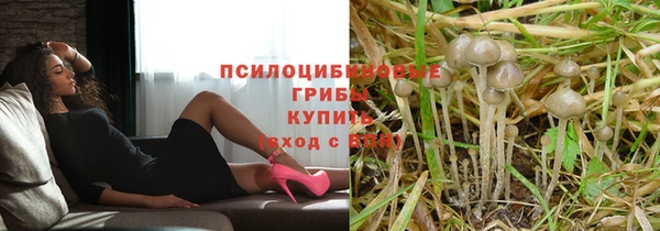 соль курить ск Медвежьегорск