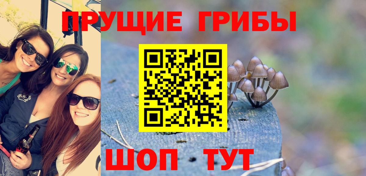 Галлюциногенные грибы ЛСД  Галлюциногенные грибы Magic Shrooms  Бийск 