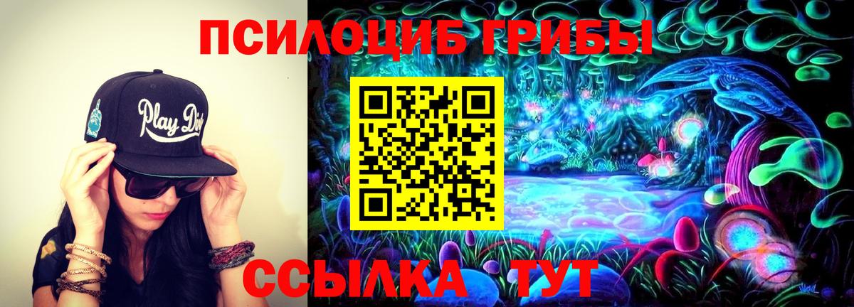 Галлюциногенные грибы Psilocybe Бийск