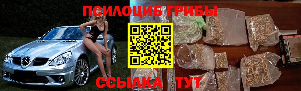 Галлюциногенные грибы MAGIC MUSHROOMS Бийск